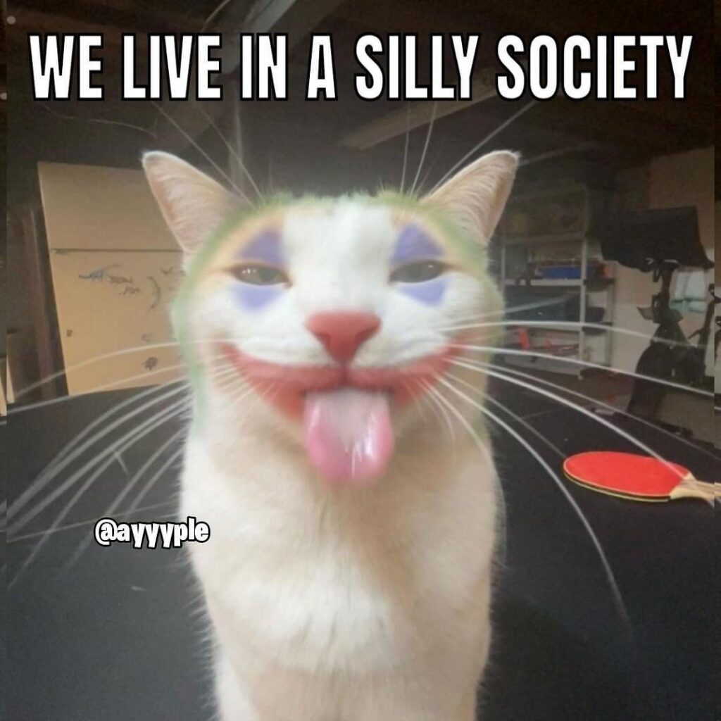 Cat coloured to look like a clown captioned "we live in a silly society