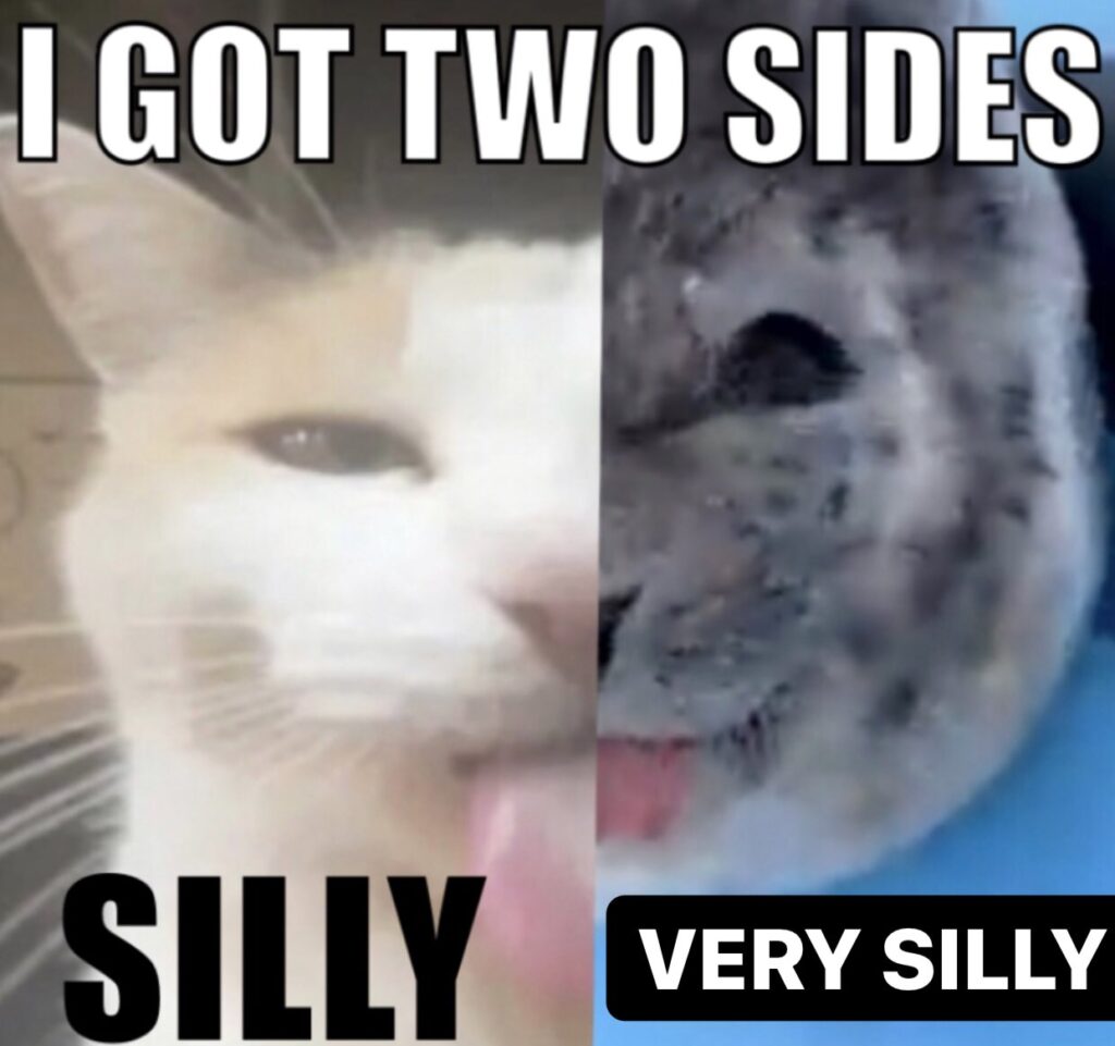 Split view cat and (probably) a seal. Caption: I got two sides: Silly; Very Silly